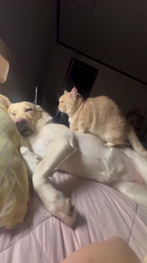 ������ ����!