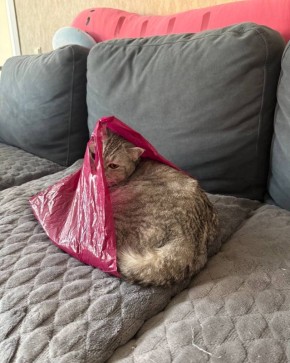 ������������ �������: ��� � �����