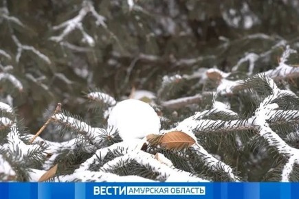 ������ �� �������� ������� ������� �������� ��������� ����, �� ��������� � ��� �������