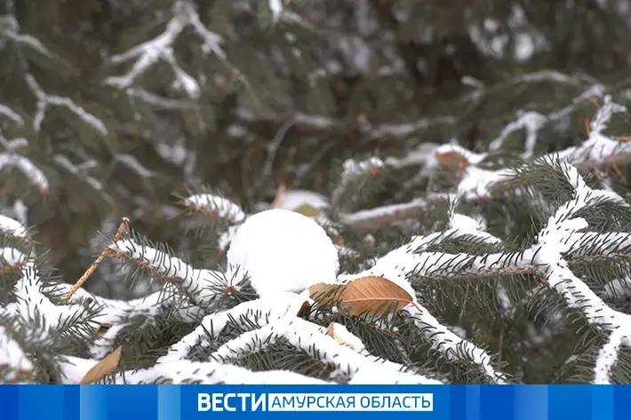 Завтра по западным районам области возможен небольшой снег, по восточным — без осадков