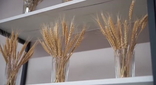 � ������������� � ������ ���� ���������� ����� ������� ���� ����� ����� �����