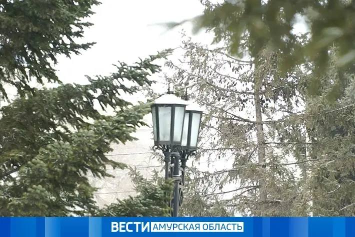 Циклон принесёт в Приамурье снег и гололёд на этой неделе