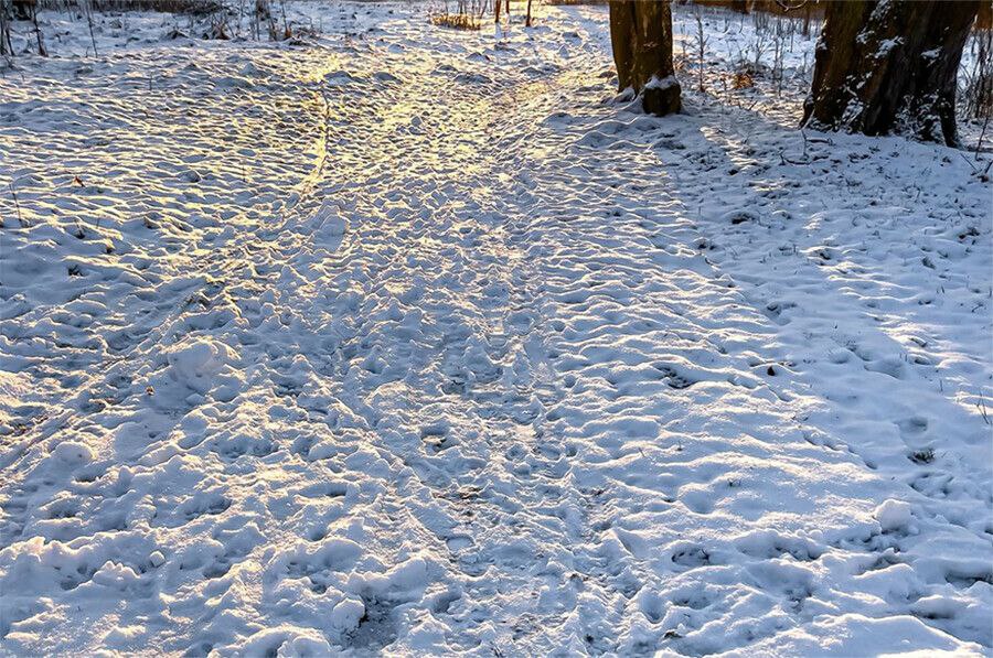 В ближайшие дни в Благовещенске ожидается повышение температуры воздуха: днем воздух будет прогреваться, а в ночные часы вновь подмораживать