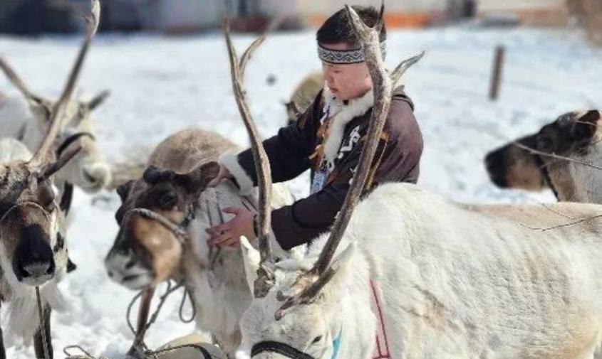 Фестиваль промыслов русских эвенков и китайских орочонов приурочили ко Дню оленевода и охотника