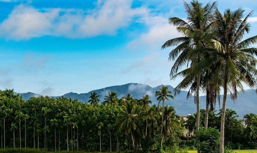 Власти Хайнаня планируют содействовать открытию новых прямых авиарейсов в города России