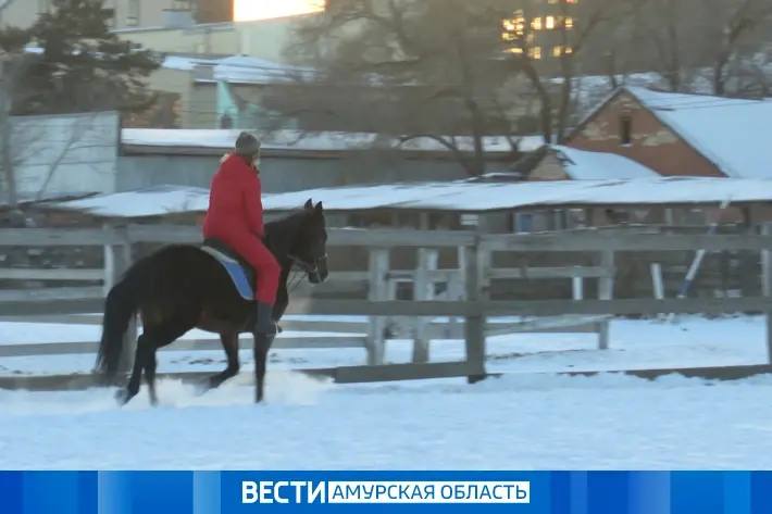 Амурский филиал Фонда «Защитники Отечества» организует занятия по иппотерапии для ветеранов СВО и членов их семей