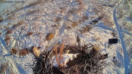 ������� �������� - ���������� �� ��� ��� ����� ������ ������������� ���? ������� �� ����� ������!