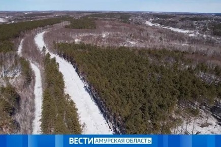 �� �������� ������� �������� ������� ����