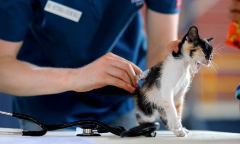 ��� ��� �������� ����� � ��� ���� ���� ���������� �� �������� ������������� ��� ����� ��������