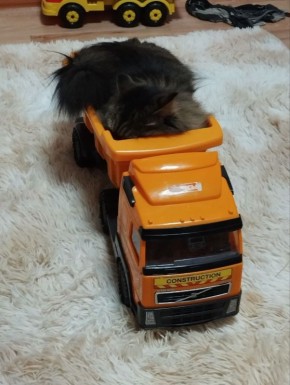 �������� ������� � ����� ��������� �����!