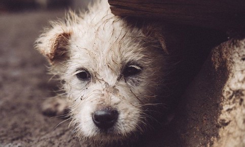 � ����� ������ ������, ������� ��� ���� ��������� � ����������� �������