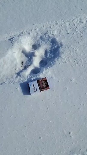 �������� ����� �������� ����� ����� �������� �� ���� ��������