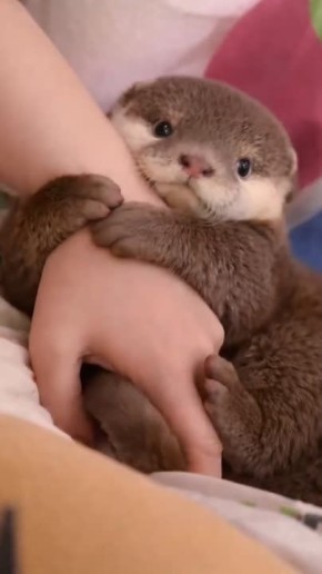 ������ ����!�. ����� ������