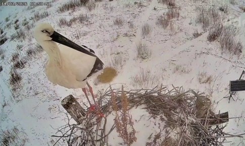 ����� ������: ����� ������������ � ���������