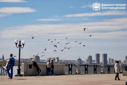 Прогноз погоды в Благовещенске на 14 марта:
