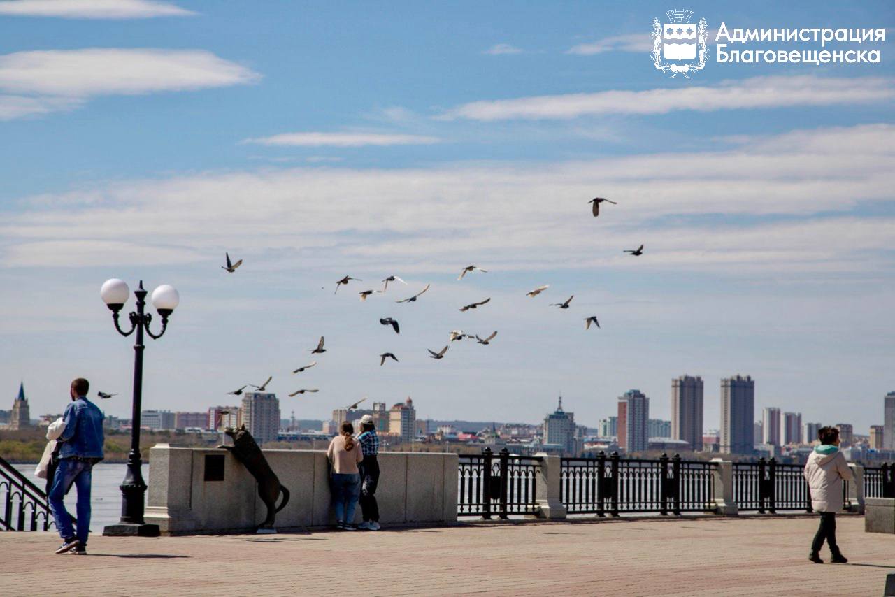 Прогноз погоды в Благовещенске на 14 марта:
