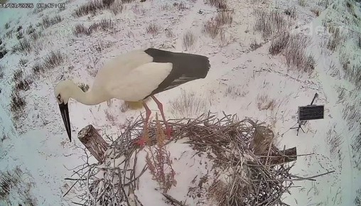 ������ ��������������� ����� ������ ��������� � �������� �������