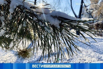 Облачно и без осадков. О погоде в Амурской области на 16 марта