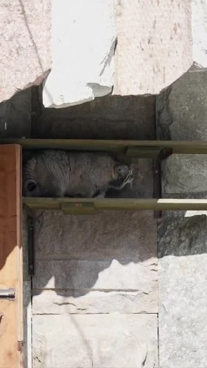 ������ ����������� �������� ����� ������� ��� ���� ����������� �� ������, ����� ��������� ������