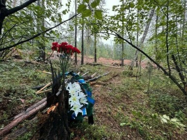 ���������, ���������� � �������������� ��� ������ ���� � �����, ��������� �������� � ������������ 10 ��������� ������