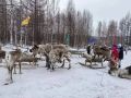 На севере Приамурья отмечали другой праздник - День оленевода и охотника