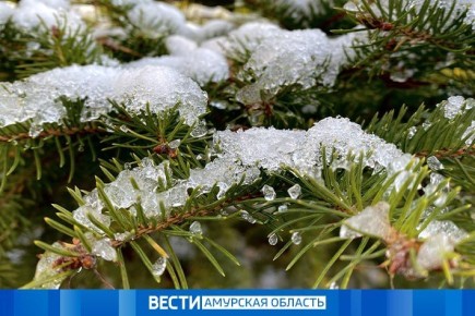 До +6 °С и без осадков: прогноз погоды в Приамурье на 22 марта