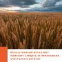 В Амурской области подвели итоги пилотного проекта по внедрению интеллектуальных технологий в муниципальный земельный контроль