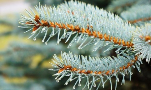 Прогноз погоды в Амурской области на 22 марта (ПАЗЛ):