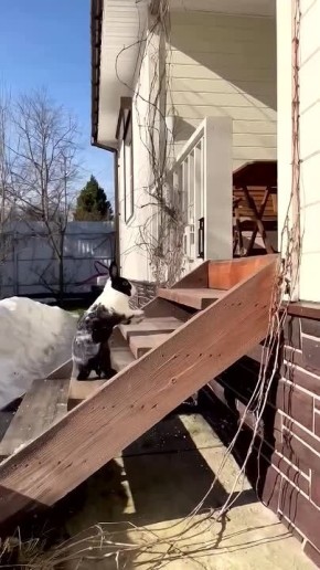 ������ ����!�. ��� �������! �������� �� ���� �������� �������