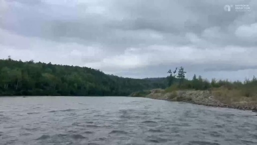 Селемджа, Брюс, Тында, Сиваки