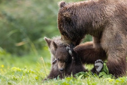 Признавайтесь, кого из вас сегодня пришлось расталкивать утром?