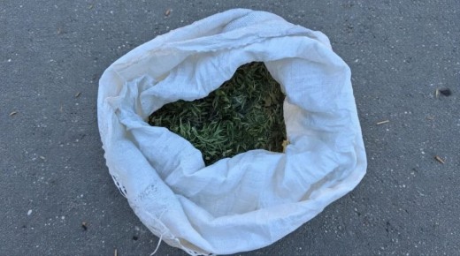 ������������, ������������ ���������� ������� �� ���������� ������������� ������, ����� ��������� � ��������� ���������������