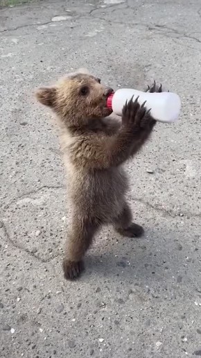 ������ ����! . ��������������� �����