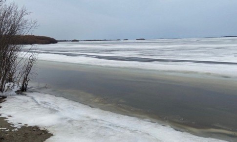 �������� ������ �������� � ��������� �� ������ ����, �� � �����