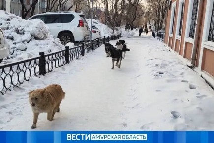 ������ ���� ����� ��������� � ����� � ������� � �������� ���������� �� ���������������