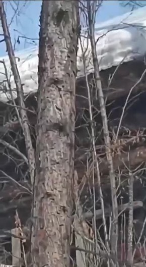 ����������� ����� ���������� � �� ���������� ����� ��������