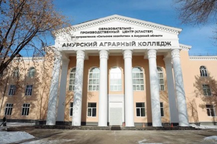 Амурский колледж сервиса и торговли и Райчихинский индустриальный техникум признали самыми «эффективными» учреждениями среднего профобразования региона