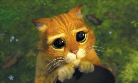 Помните, мы задали вам вопрос, в каких социальных сетях вам удобнее будет читать нас, если здесь общение станет сложнее?