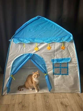 «Взял студию. Теперь ищу инвестора… С пакетиком корма»