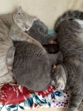 �������� ��������� ���� � ����� ������