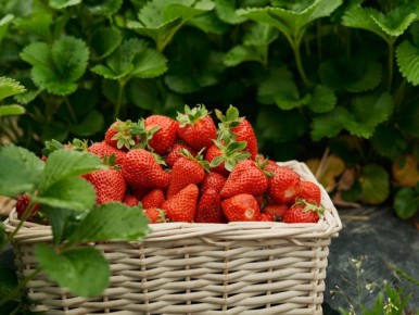 ��� �������� ��������� ������ ��������: ����������� ������