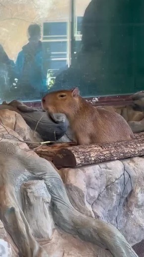 ��������, ��� ������� ��� ������, � ������ ������ �������� �������� ������!