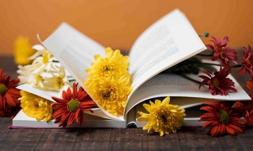 ����: ��� ������� ��� ������ � ������ ������ ������ � �����