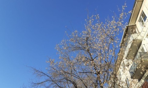 ������� ������ � �������� ������� �� 2 ������