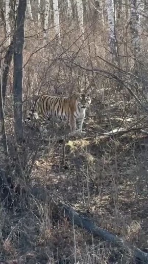 ���������! ���-���-���!�. ������� �� ���������� ������������ ������� � �������� ������ �� ����� �� ����� � ����������� ����