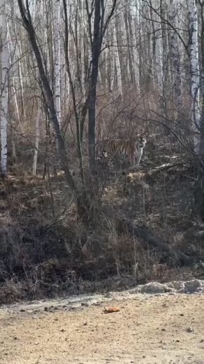 "����! ����! ���-���-���!"