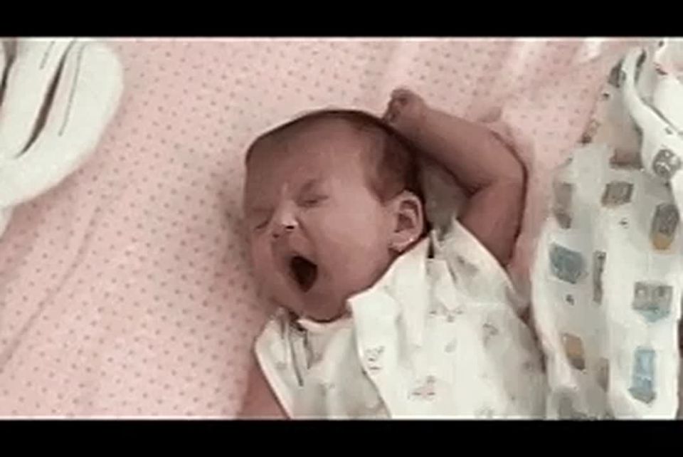 � ���, ����� ����� �������� ������������� ������ �������� �������, ���������� � 23 �� 29 �����, ���������� � ��������� �����