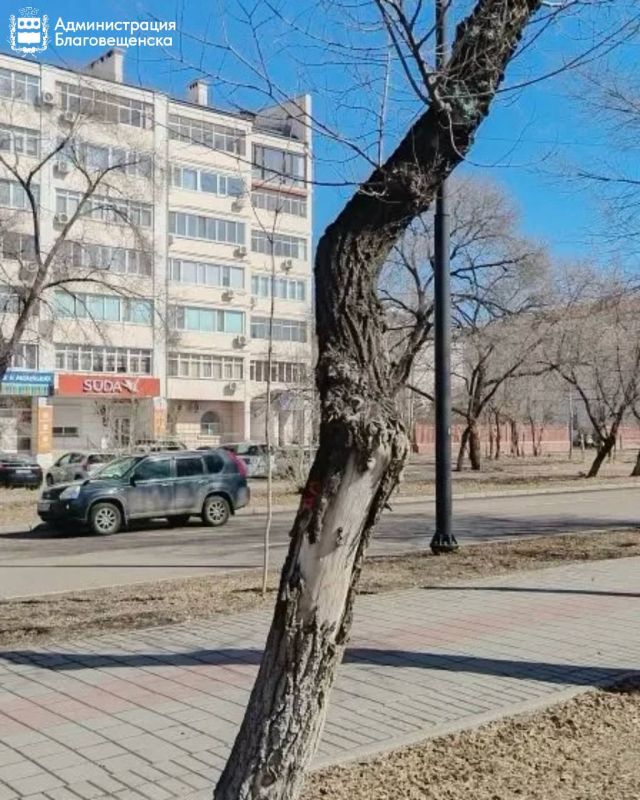 � ������������� ������� ������ � ����� ������� ������ ������� � �������