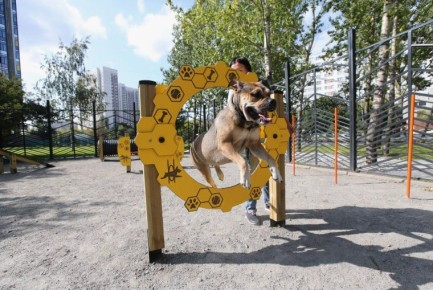 � 1 ������ �������� ����������� ���� �� �������� ��� ������ �����