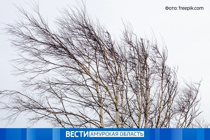 ������ �� ������ �������: ������� ������ �� 2 ������ � ���������